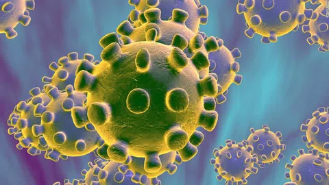 Bạn biết gì về Virus Corona?